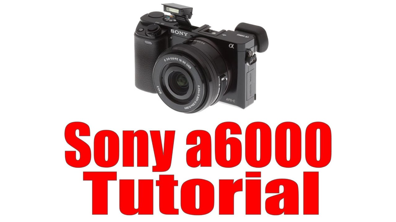 sony a6000 manual book